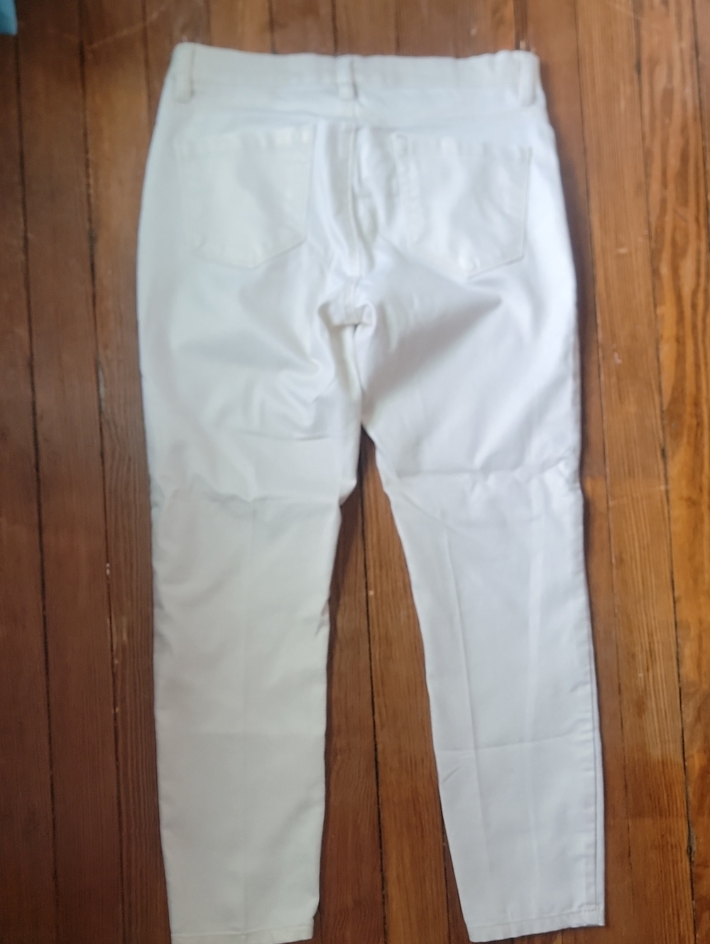 Cache Capri Pants - Picture 6 of 6